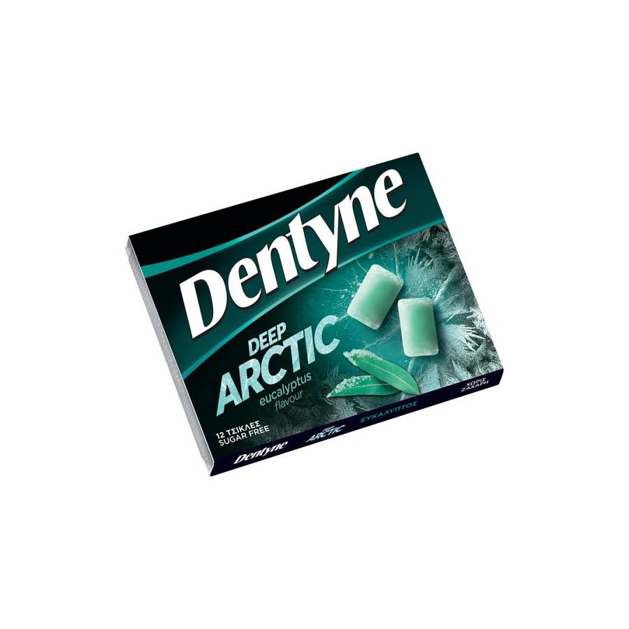 DENTYNE ARCTIC ΕΥΚΑΛΥΠΤΟΣ 16.8ΓΡ
